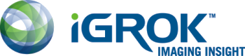 iGrok: Imaging Insight